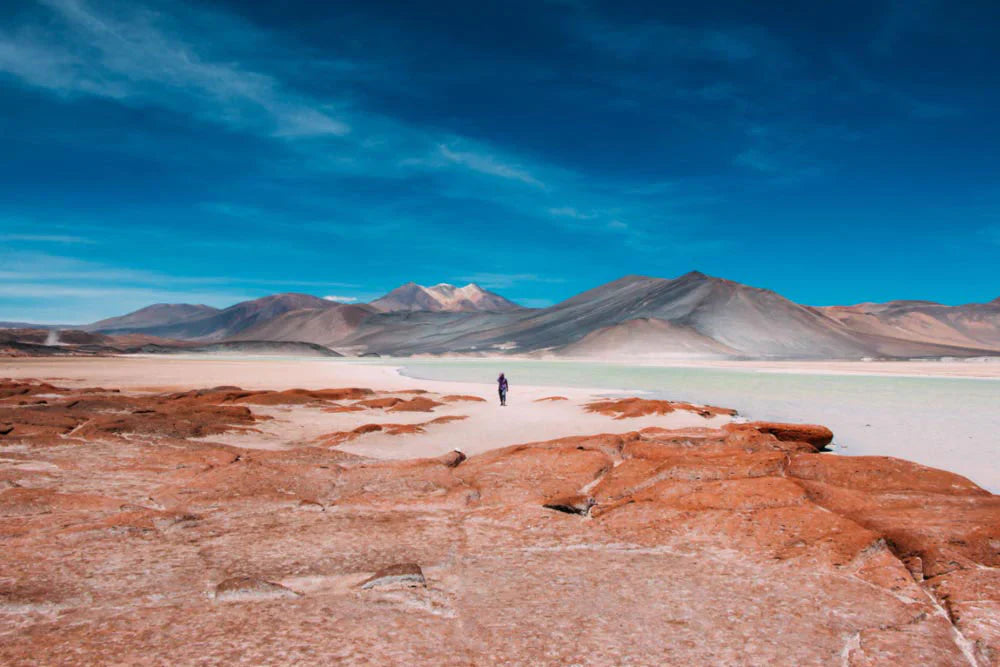 Shake Your Way To Chile! ABA Pisco Cocktail Challenge Asia 2024 Calls You!