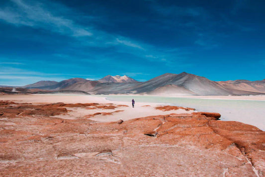 Shake Your Way To Chile! ABA Pisco Cocktail Challenge Asia 2024 Calls You!