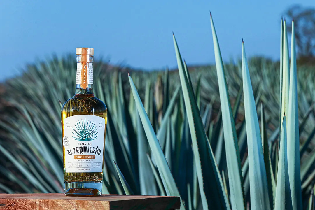 El Tequileno Tequila: “Mexico’s Best Kept Secret” Launches in Hong Kong