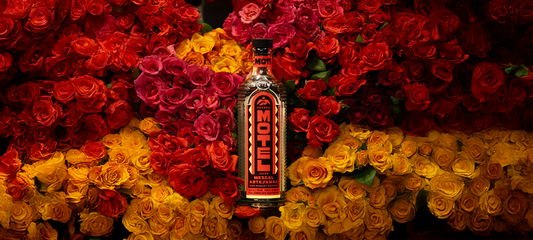 New Arrival: Motel Mezcal Joins the Drinks99 Portfolio in Hong Kong & Singapore